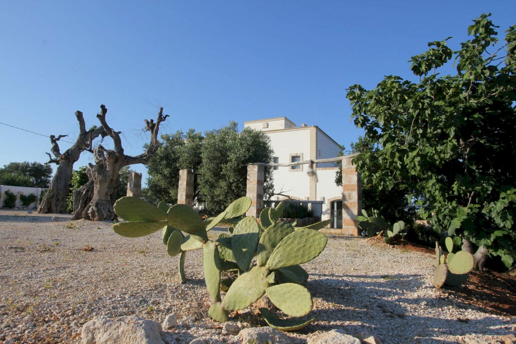 Masseria Lama Di Coccaro Savelletri Exterior foto